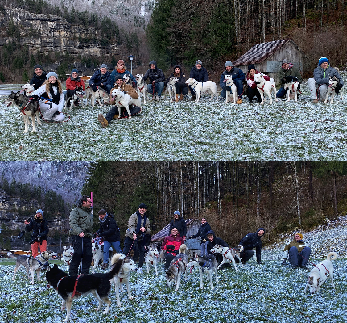 Gruppenbilder von Apps with love Mitarbeitenden mit Huskys