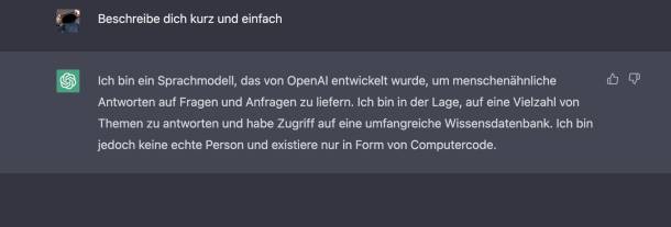 Die Chat KI ChatGPT stellt sich selber vor